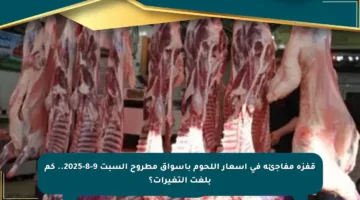 قفزة مفاجئة في أسعار اللحوم بأسواق مطروح السبت 9-8-2025.. كم بلغت التغيرات؟
